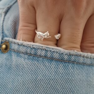 Anillo Gato